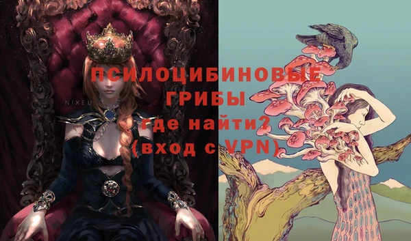 не бодяженный Чекалин