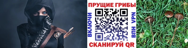 наркота  Бердск  Галлюциногенные грибы мухоморы 
